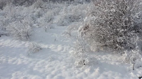 Snow over the ground and vegetation 4K aerial video Stock Footage 102779865