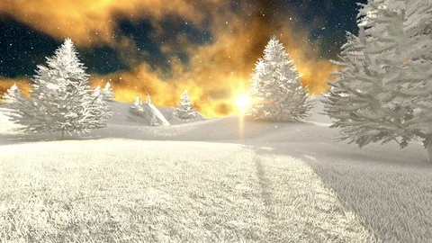 Snow over white tree Stock Footage 83446477