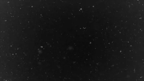Snow Overlay Effect Stock Footage 82937315