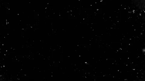 Snow Overlay Effect Stock Footage 120985701