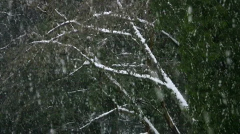 Snow pan down Video stock 384327