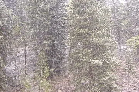 Snow-pan Vídeo Stock 820354