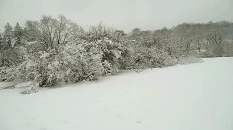 Snow Panorama Wide Angle 스톡 동영상 20463849