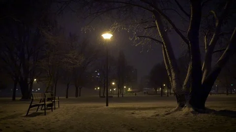 Snow in the park 스톡 동영상 71841916