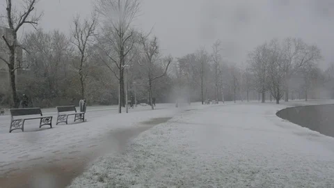 Snow in Park 스톡 동영상 83983800
