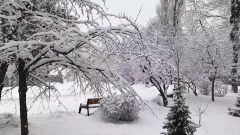 Snow at the park Stock Footage 102696023