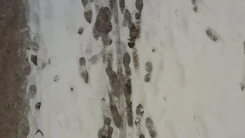 Snow in the park Stock Footage 122335928