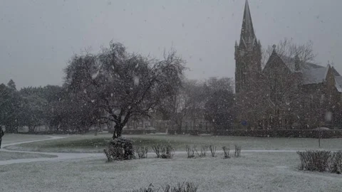 Snow in a park. Stock Footage 147210760