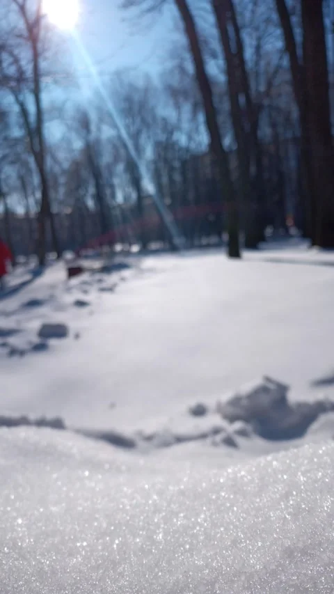 Snow park  Stock Footage 148520950