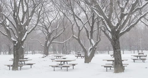 Snow in the park Video stock 231493113