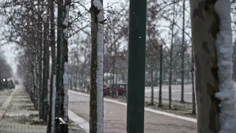 Snow in the park Stock Footage 232388430
