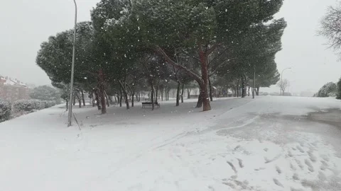 Snow in a park in Madrid Video stock 147273820