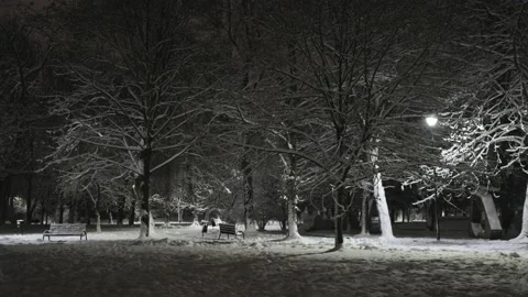Snow Park at night Stock Footage 228753376