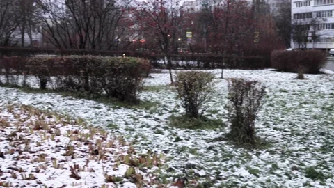 Snow in the park. November Stock Footage 165597806