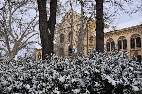 Snow in the park Stock Photos