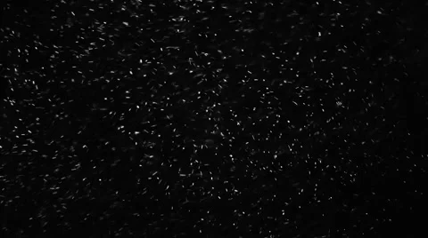 Snow Particles 1 Stock Footage 48229736