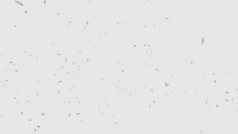 Snow particles falling from above. Stock Footage 171052978