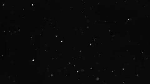 Snow Particles Falling From the Night Sky Video stock 81836934