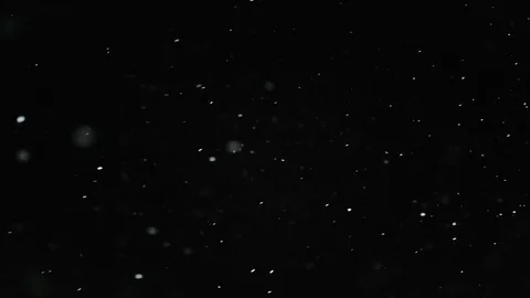 Snow Particles Falling From the Night Sky Stock Footage 81838024