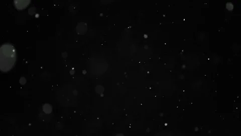 Snow Particles Falling From the Night Sky Stock Footage 81838995