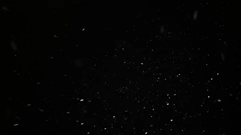 Snow Particles Falling From the Night Sky Stock-Footage 81841325