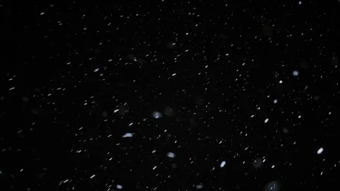 Snow Particles Falling From the Night Sky Stock Footage 81841718