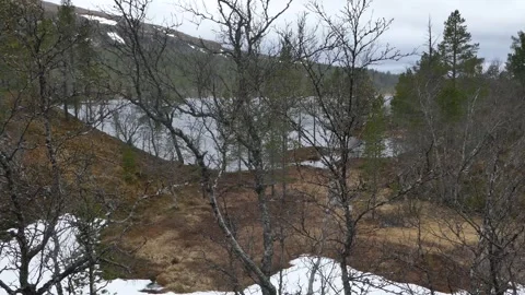 Snow patches bare trees bend under extreme wind beside a rippling mountain lake Stock Footage 318197402