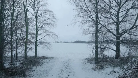 Snow Path 4K Stock Footage 84078297