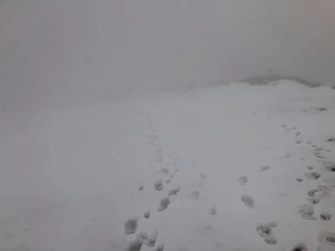 A snow path with foot steps Stock Photos