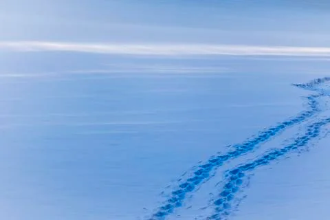 Snow path with footsteps in winter Stock Photos