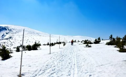 Snow path in the mountains in winter Stock Photos