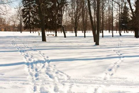Snow path in the park Stock Photos
