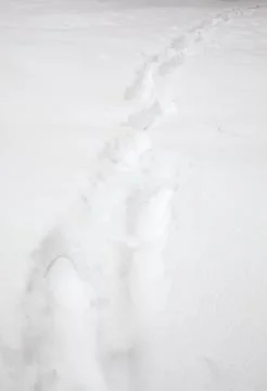 Snow path Stock Photos