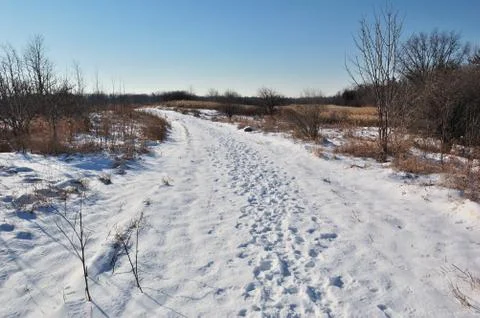 Snow path Stock Photos