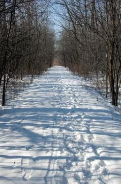 Snow path Stock Photos