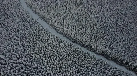 Snow path Foto stock