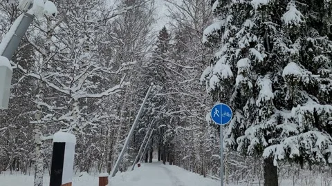 Snow path in the winter park. Nature 4K Video stock 174687461