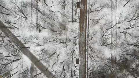 Snow paths in winter park, drone top view. Beautiful forest. Stock-Footage 150366685
