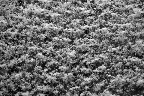 Snow pattern Stock Photos