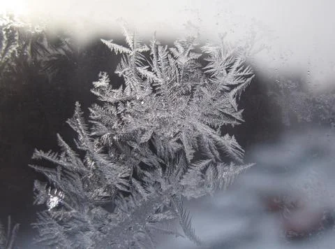 Snow pattern on winter window... Stock Photos