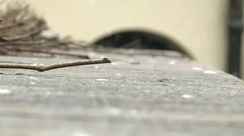 Snow on pavement Stock Footage 22906576