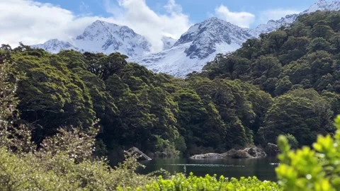 Snow peaks above the beech forest, Lake Mackenzie Stock Footage 346401408