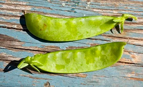 Snow peas Stock Photos
