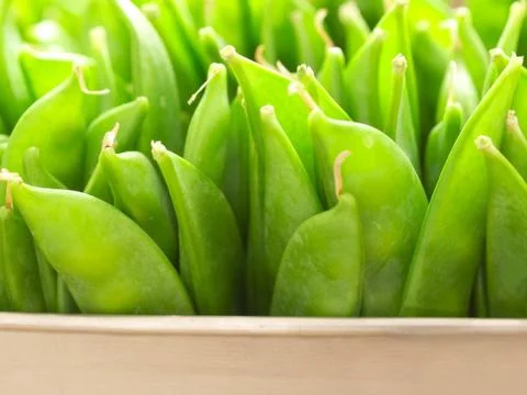 Snow peas Stock Photos