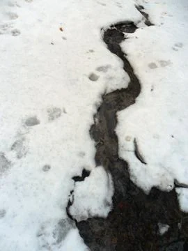 Snow Foto stock