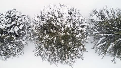 Snow Stock Photos