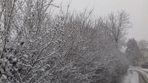 Into the Snow Stock Photos