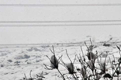 Snow  Stock Photos