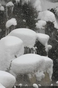 Snow  Stock Photos