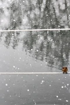 Snow  Stock Photos